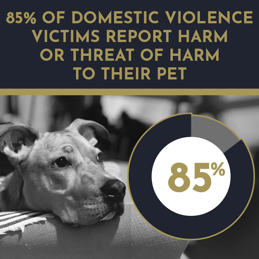 Around 85% of domestic violence victims report harm or threat of harm to their pet.