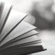 troubled blood detective book